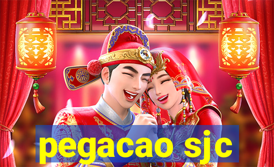 pegacao sjc